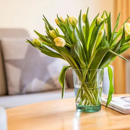 Haus Am Anker 10 Appartement